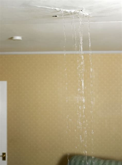 ceiling leaking after shower|Water Leaking From Ceiling – Signs, Causes and。